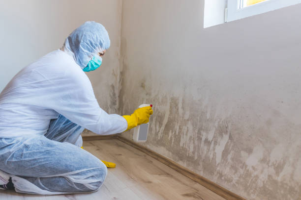 Hvac And Air Duct Mold Remediation inspection of HVAC system in Ingleside